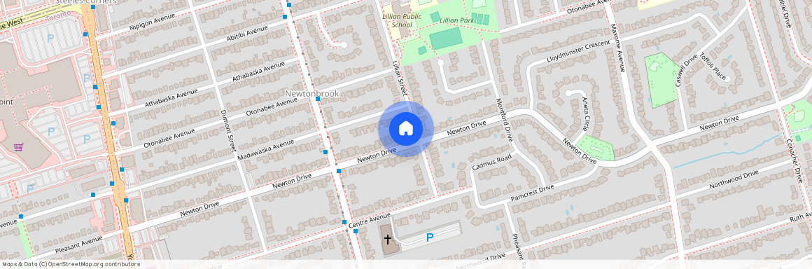 116 Newton Dr Drive Unit# Basement, Toronto