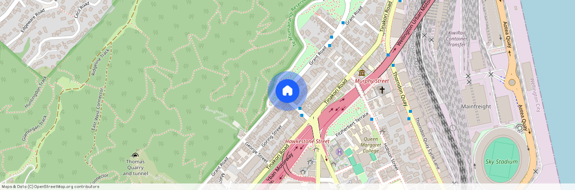 87 Grant Road, Thorndon, Wellington