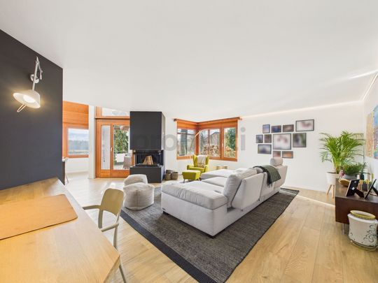 Modern 9-room single-family house with garden in Hombrechtikon - Foto 1