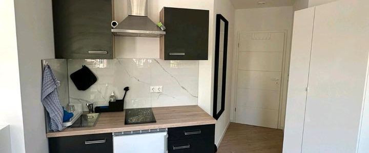 6 neu sanierte 1-Zimmer-Apartments möbelierte Apartements Wohnung Flat rent Mietwohnung - Foto 1