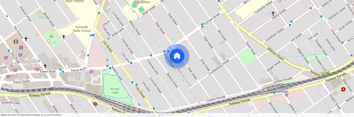 43 Fleet Street, NSW 2218, Carlton