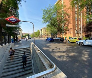 Calle del Hornero, Madrid, Community of Madrid 28019 - Photo 2