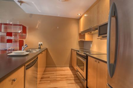 Condo for rent, Montréal (Ville-Marie) - Photo 4