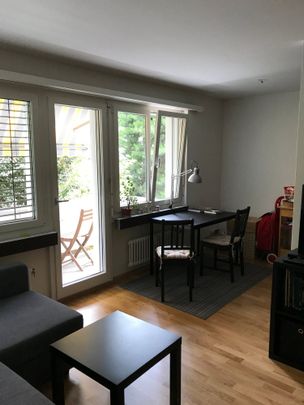 Charmante 2-Zimmerwohnung nahe dem Schützenmattpark - Photo 1