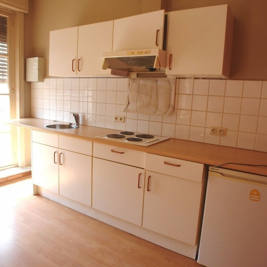 UITERST GEZELLIG EENSLAAPKAMERAPPARTEMENT - Photo 1