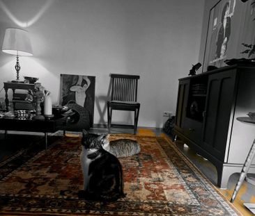 Wohnung zu vermieten zwischenmiete + Katzenbetreuung gesucht - Photo 1