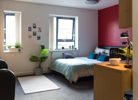 Studio to rent - Photo 3