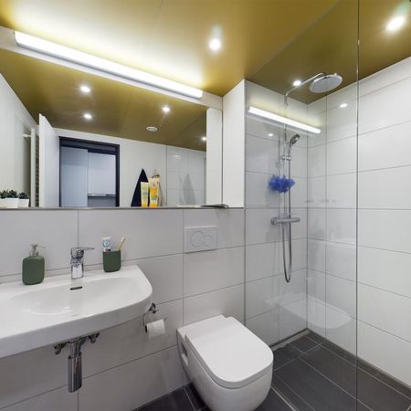 Large Bude 1.02.09 - Photo 3