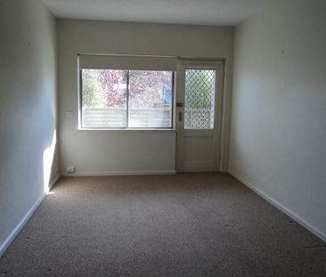 Affordable One Bedroom Apartment - Available for 6 or 12 month lease - Photo 2