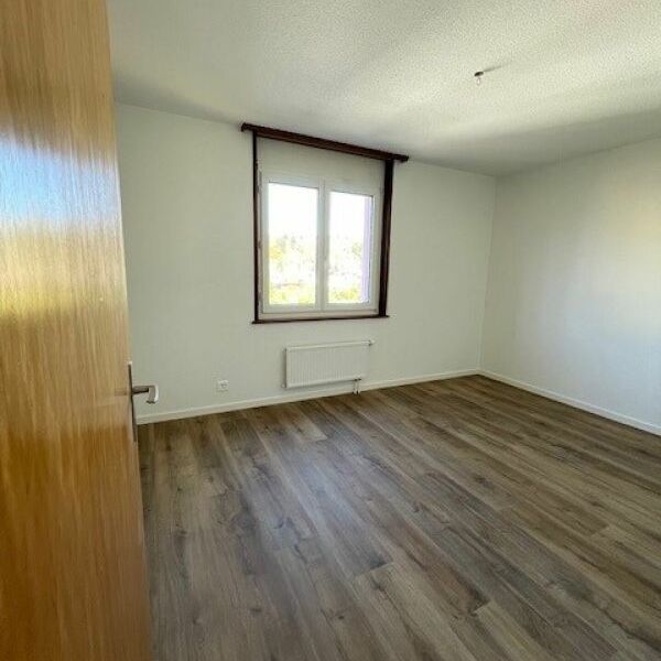 Chemin des Carabiniers 1, 4.5 pièces au 4ème Nord rénové - Photo 1