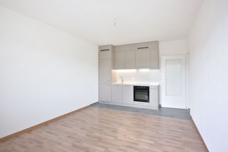 Für Sie frisch saniert - Wohnwunder in Basel - Foto 2