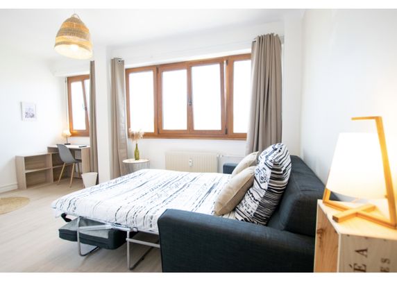 Colocation rue Emile Bertin NANCY - Photo 1