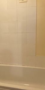 Dent Street - Photo 4