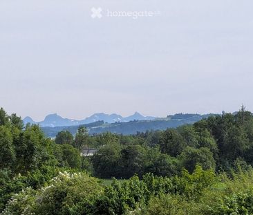 2.5 Zimmer, 43 m² - Photo 4