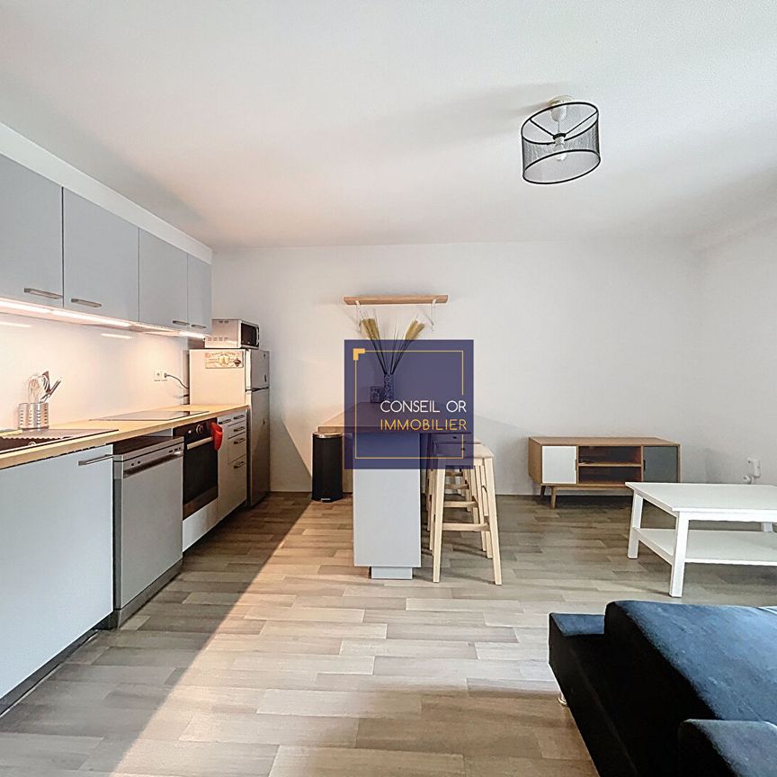 Appartement T2 Meublé - 50 m2 - Balcon + Garage, - Photo 1