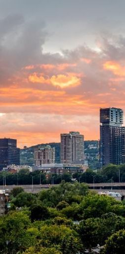 4 1/2 - Montréal (Griffintown) - 2 930 $/mois - Photo 1