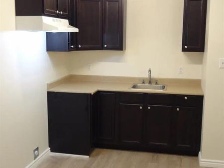 7225 Rue Durocher - Photo 5