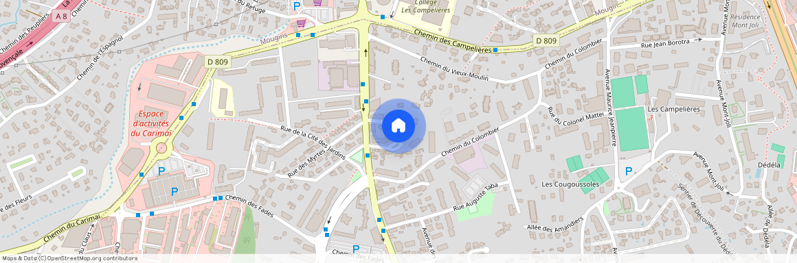 ALPES-MARITIMES (06), - PROVENCE-ALPES-COTE-D-AZUR, LE CANNET (06110)