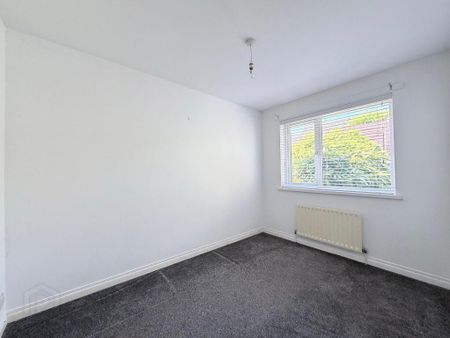 12 Pinley Meadow, Banbridge, BT32 3XZ - Photo 2