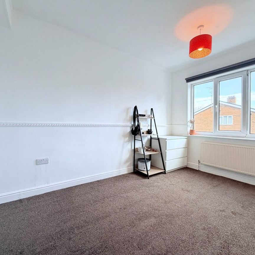 3 bedroom House To Let - Photo 1