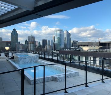 101 Rue Peel, Montréal (Le Sud-Ouest), QC H3C - Photo 3