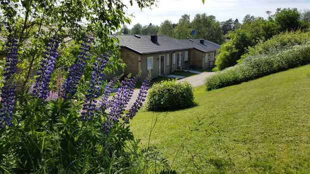 Hjortronstigen 10 C - Foto 1