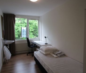 Te huur: Kamer Springerstraat in Eindhoven - Foto 3