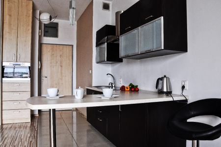 Kawalerka Poznań Wilda Green Point wynajem - Photo 5