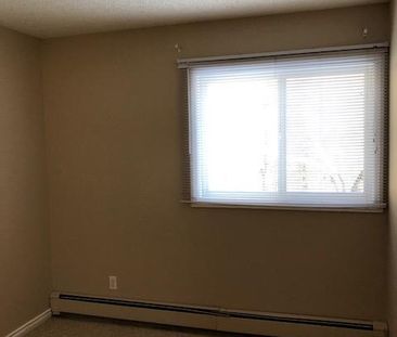 Amazing 2 Bedroom Apartment on Quiet Close!! - Photo 5