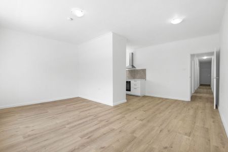 Newly Renovated Oversized Apartment in Great Location - Photo 2