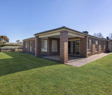 Everything You Need! - Photo 5