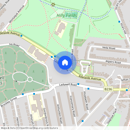 Adelaide Avenue, Ladywell, SE4