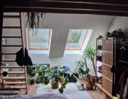 Huis te huur in Gent - foto 1