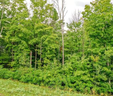 For Lease - 8 Forest Heights Court, Oro-Medonte, Ontario - Photo 5