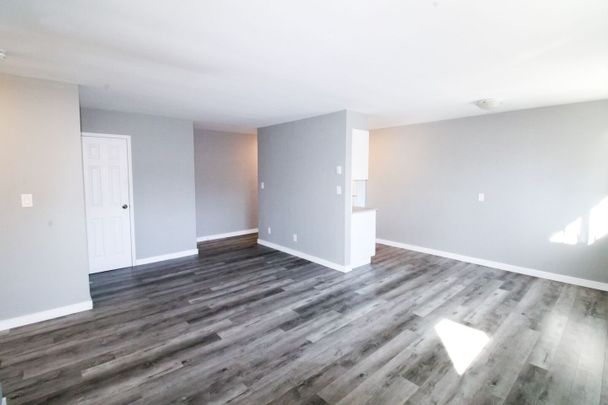 4-181 York St, Kingston, ON K7K 1R5 - Photo 1