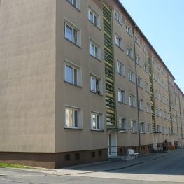 2-Raum-Wohnung in Glauchau, Oberstadt, Hufelandstraße 19 - Foto 1