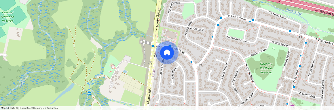 38a Alpine Cct, NSW 2759, St Clair