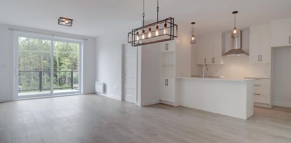 Charmant Appartement 4 1/2 à louer - Estrie / Sherbrooke *PROMO EN VIGUEUR* - Photo 2