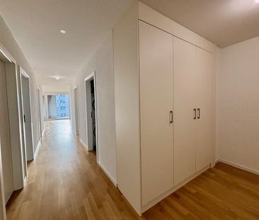 LE TICLE : Appartements à louer - Foto 1