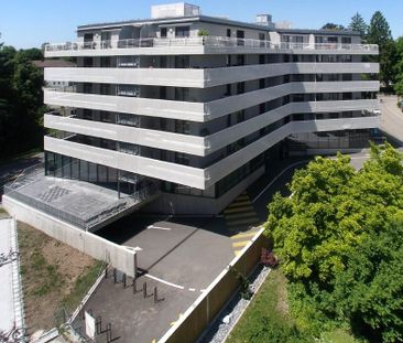 2 Zimmer, 80 m², 4. Stock - Photo 6