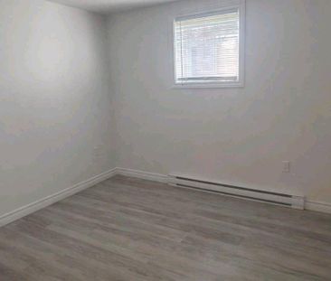 Grand logement 6 1/2 (sous-sol) - Photo 1
