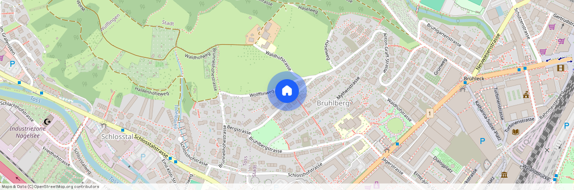 Brühlbergstrasse 93, 8400 Winterthur