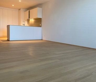 Naturnahes Wohnen direkt an der Limmat - Foto 2