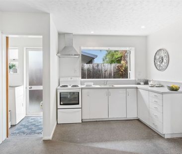 3/33 Wrights Road, Addington, NZ 8041 - Photo 2