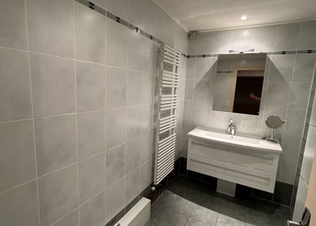 Appartement T3 à louer à Scionzier - Photo 2