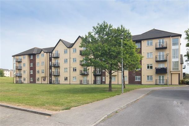 15 Ivy Court, Broomfield, Midleton, Co. Cork, P25 N638 - Photo 1