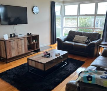 19 Hall Road, Onewhero - Photo 1