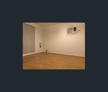 Tidy 3x1 with Huge Shed - Photo 1