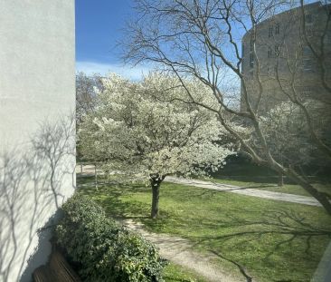 PERFEKT für ZWEI + SONNIG + nahe MÜHLWASSER-Lobau! - Foto 1