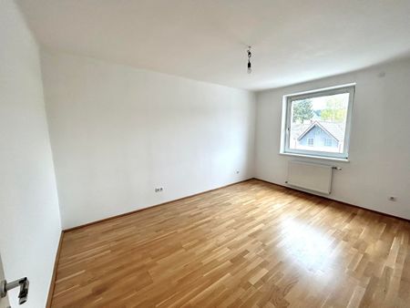 Günstige 3 Zimmer Wohnung *Liftzubau Frühjahr 2024* - Foto 2